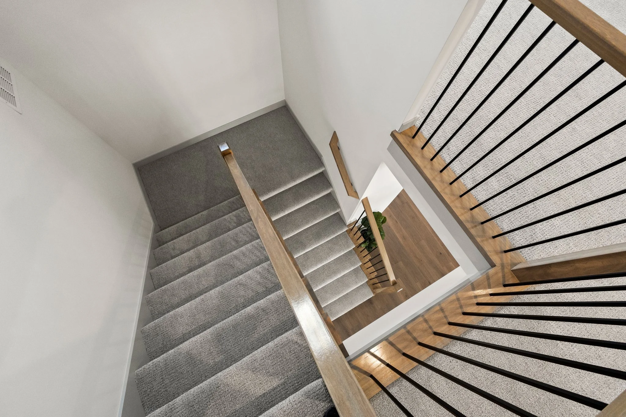 View looking down a staircase with carpeting, wooden handrails, and black metal balusters, overlooking a wooden-floored lower level with a potted plant.
