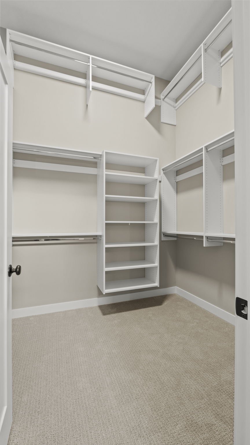 Empty walk-in closet with white shelving, hanging rods, and beige carpeted floor.