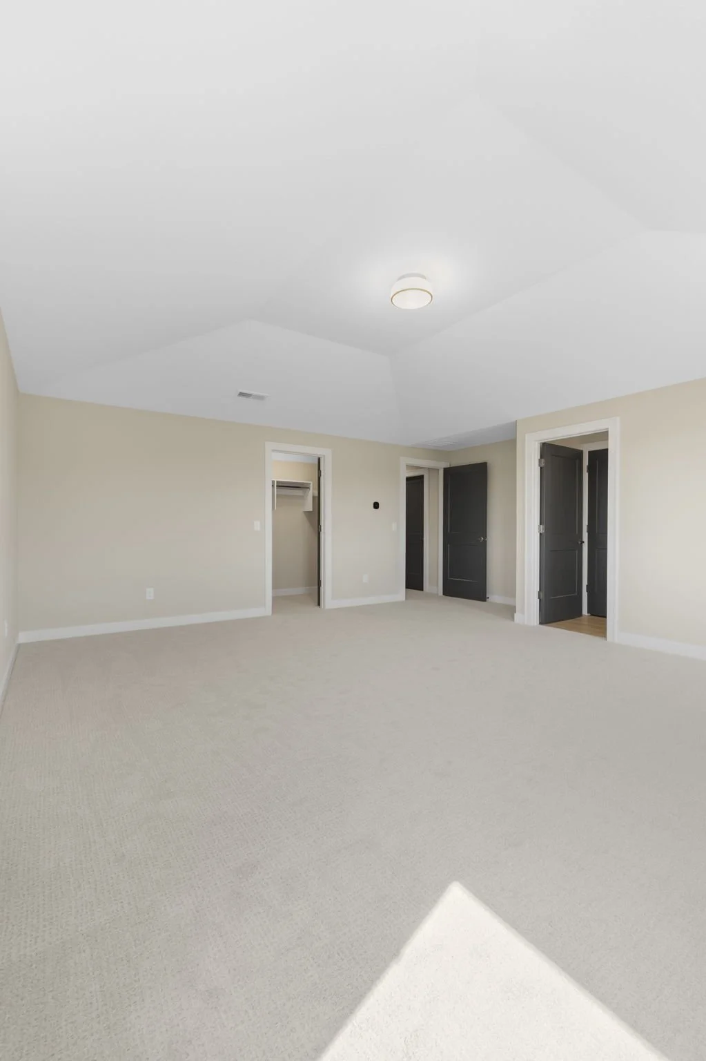 Empty beige carpeted bedroom with three open dark doors, a ceiling light, and a small closet visible.