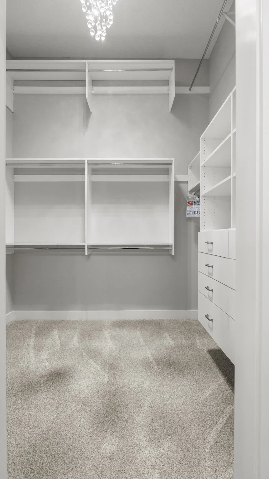 Empty walk-in closet with white built-in shelves and drawers, beige carpet, and a ceiling light fixture.