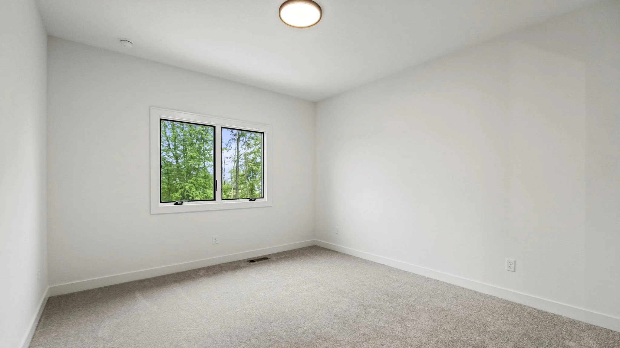 Empty room with white walls, beige carpet, window showing green trees outside, ceiling light