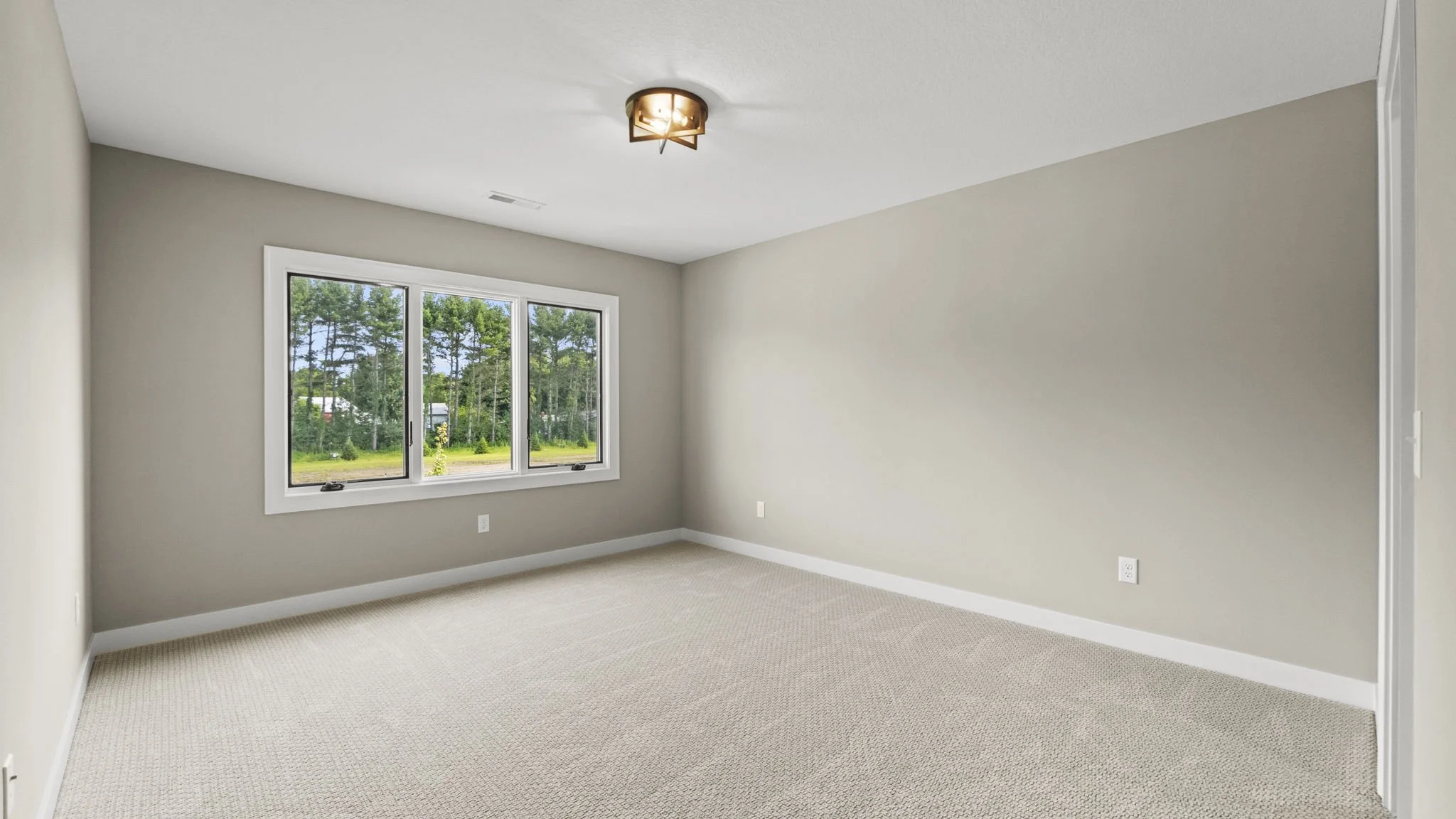 Empty room with beige carpet, light gray walls, white trim, large window showing trees outside, and a ceiling light fixture.