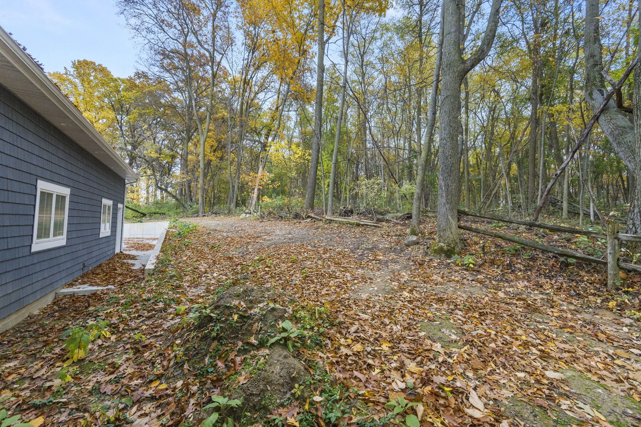 A wooded backyard area in autumn with a forested background, fallen leaves on the ground, a fence along the right side, and part of a house with blue siding and white windows on the left.