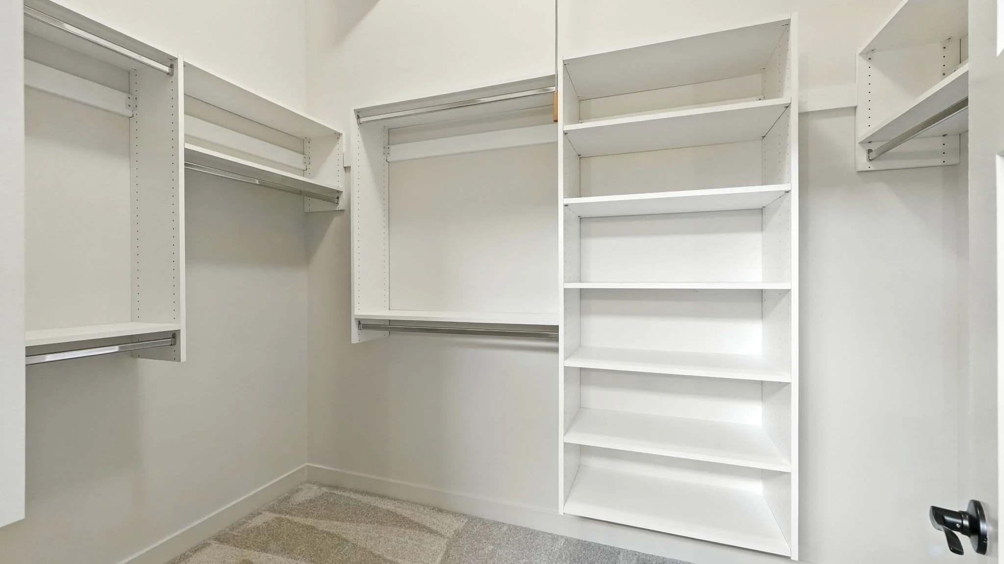 Empty walk-in closet with white shelves, hanging rods, and beige carpet.
