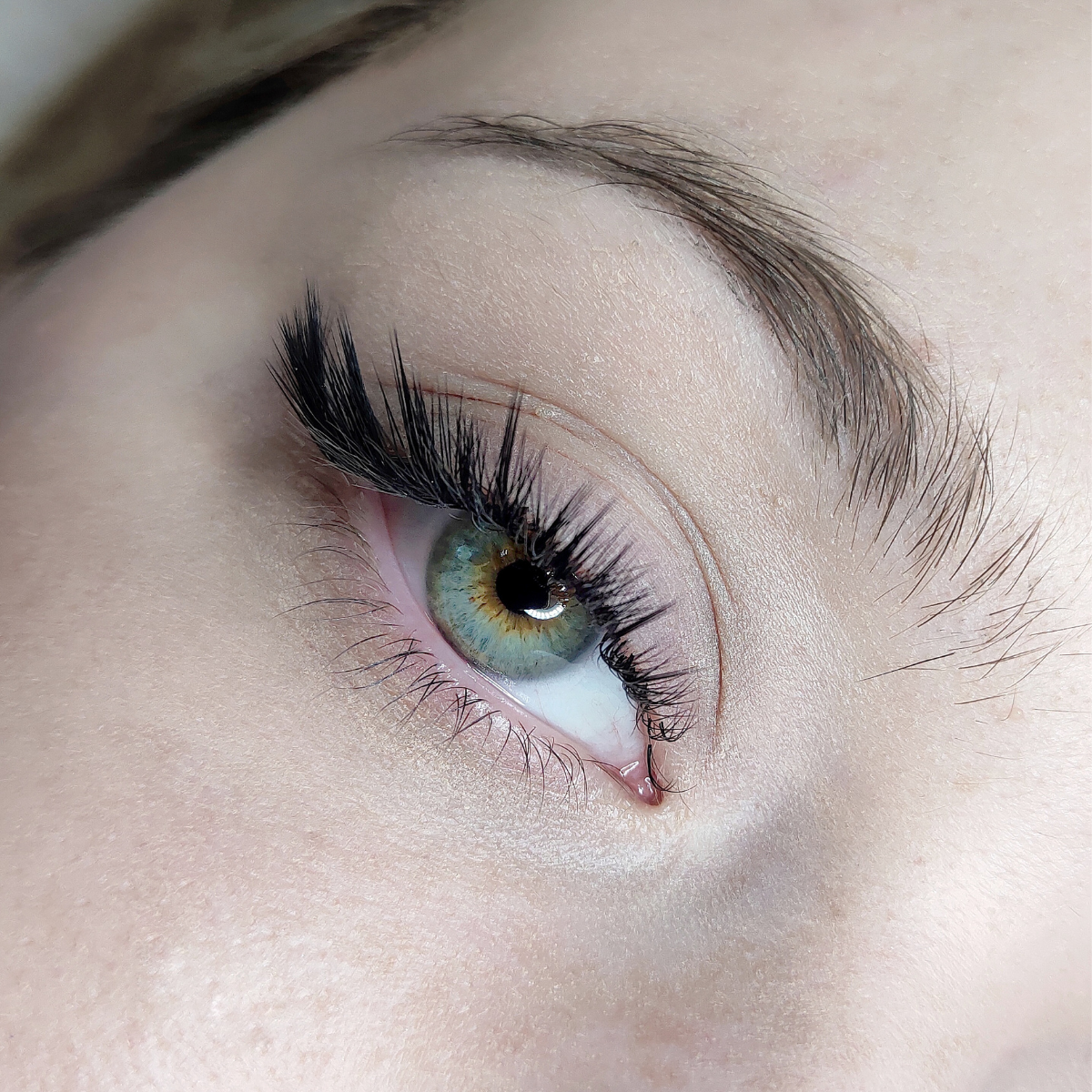 Primer plano de un ojo con maquillaje, pestañas largas y pestañas postizas, ceja bien definida y piel suave.