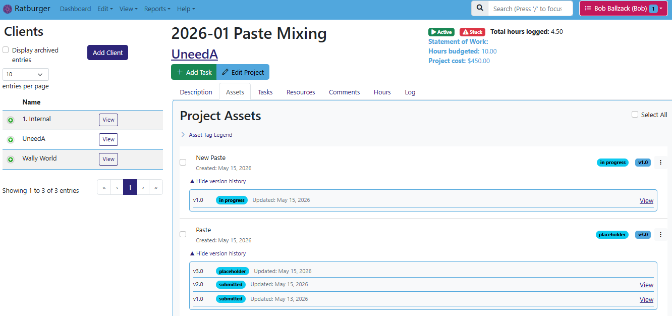 The Hibiscus project view, showing the asset list with versions
