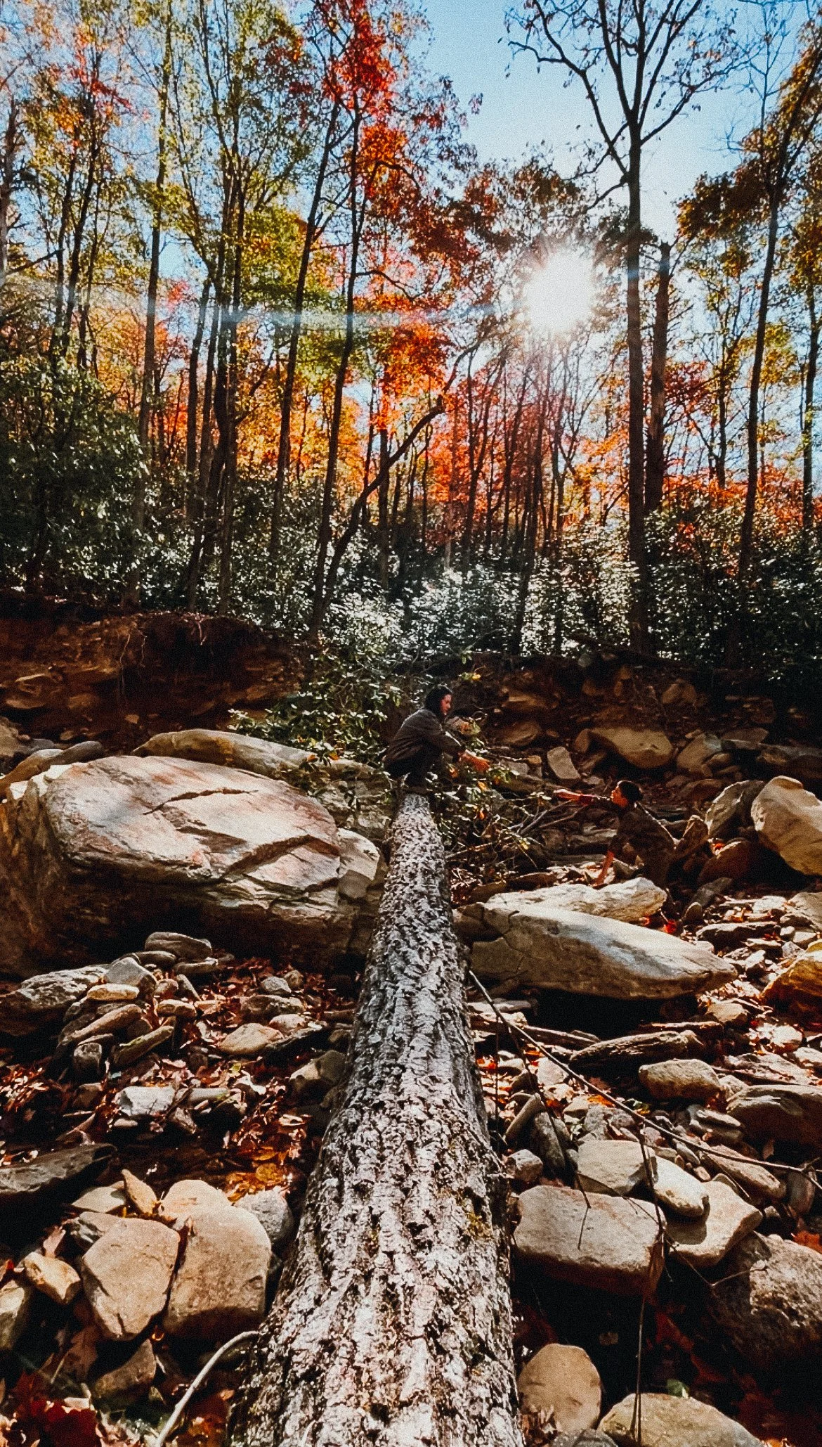 People crossing a rocky creek in a forest with autumn leaves and sun shining through trees.