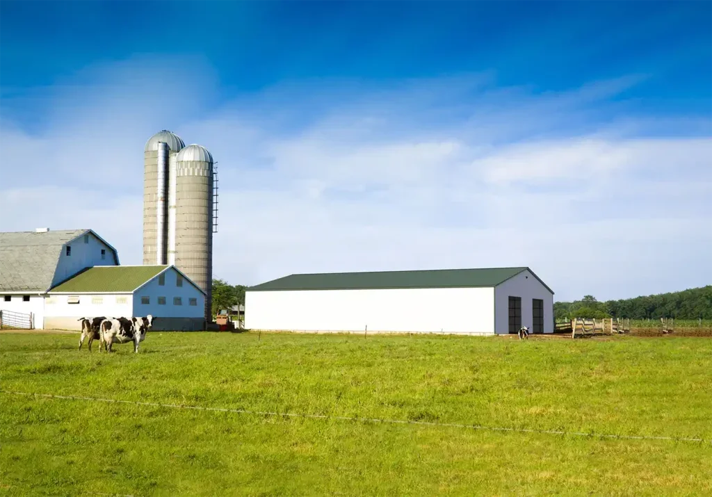 40x100x12 Vertical Roof Commercial Metal Building