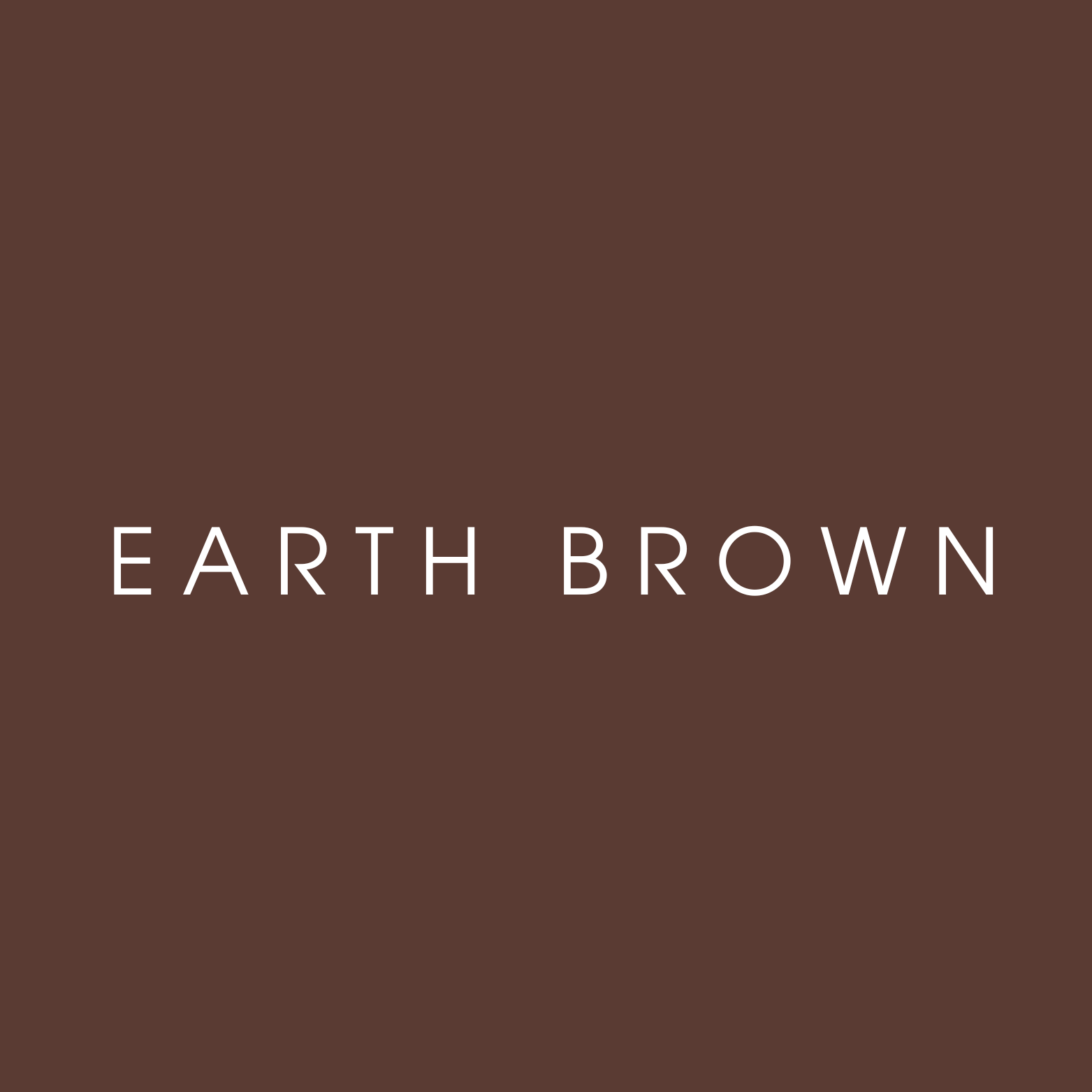 Brown background with the text 'Earth Brown' in white centered in the image.