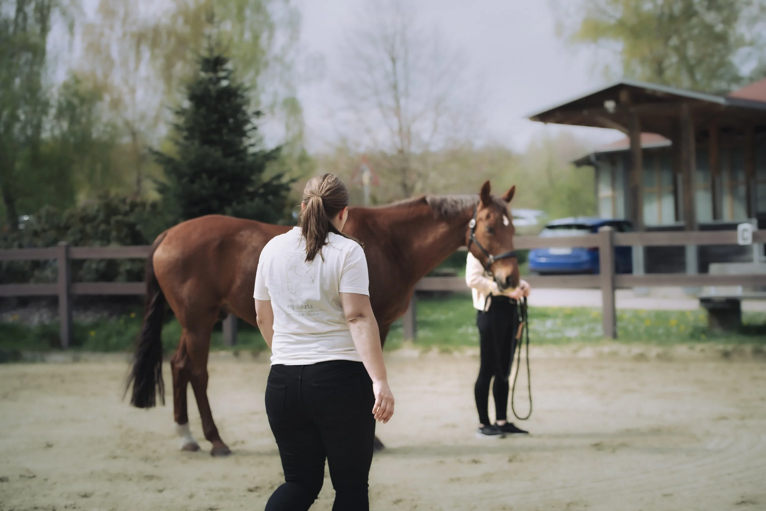 Inka Philipp arbeitet mir Pferden im Coaching für Führungskräfte