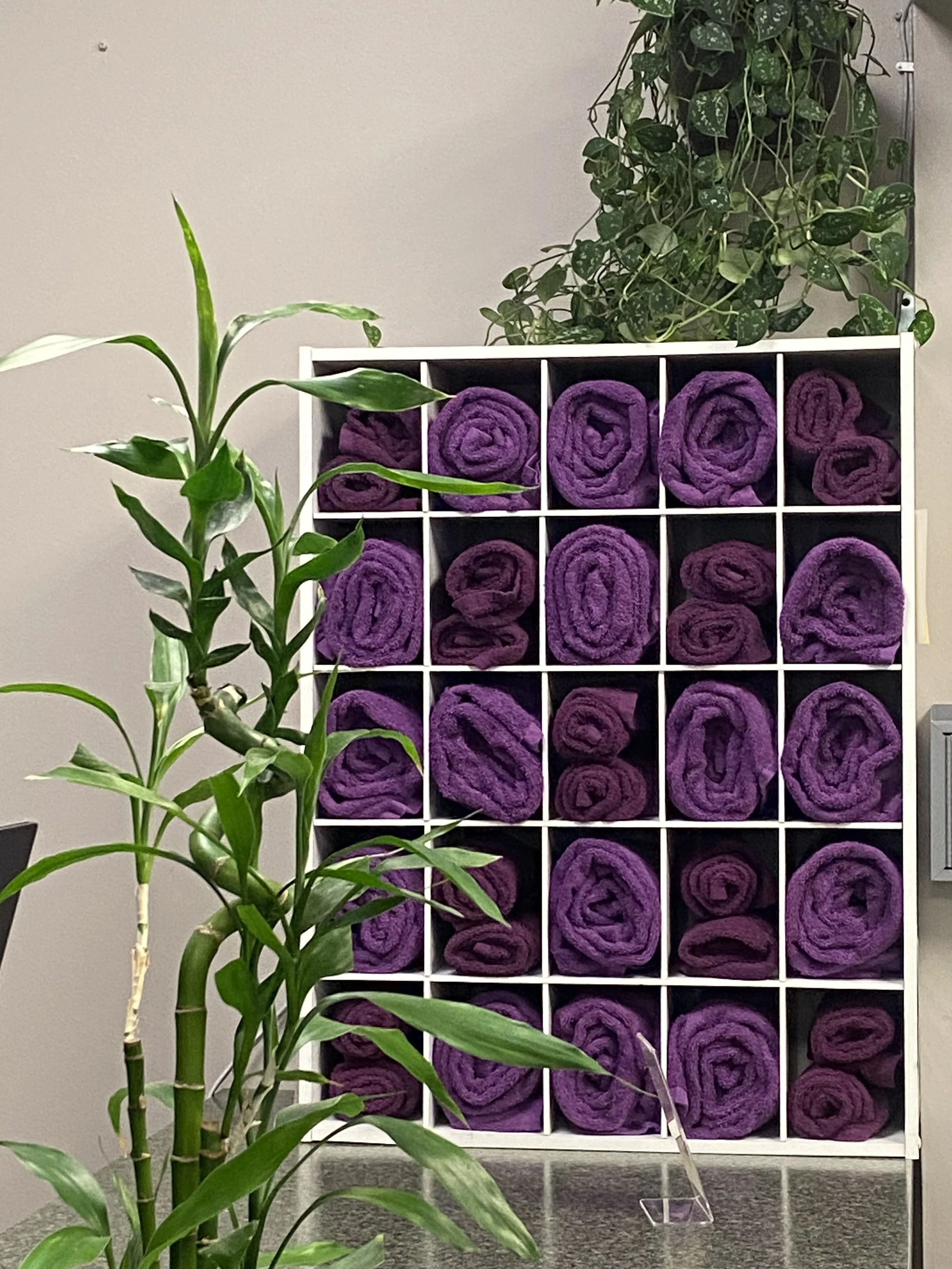 A white cube-shaped shelf with multiple compartments, each holding a rolled purple towel. A tall green leafy plant with variegated leaves is in front of the shelf. Another green plant with larger leaves is climbing behind the shelf on the right. The background is a plain wall