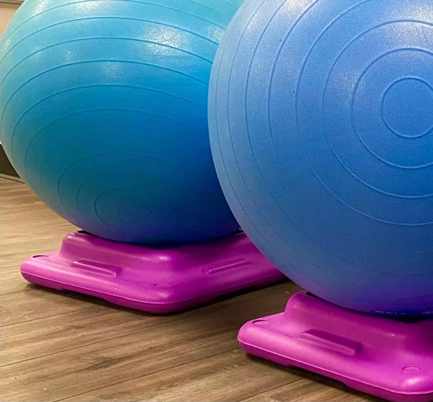Two large blue exercise balls resting on pink balance discs on a wooden floor.