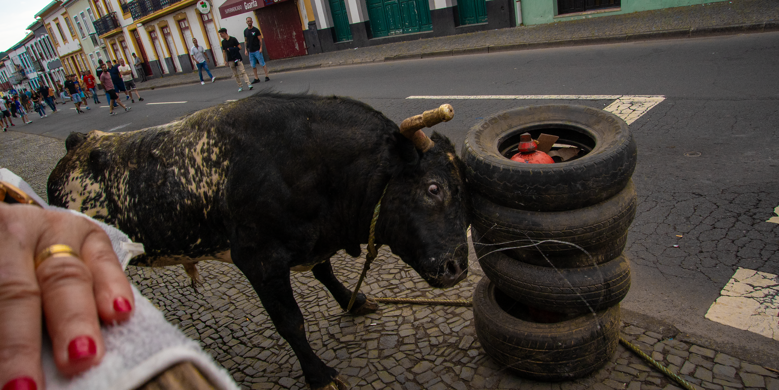bullfight in the street