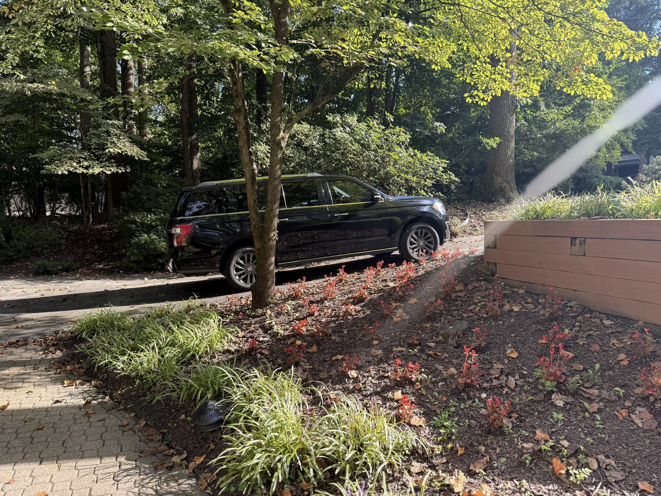 A black SUV parked next to a wooded area with trees and shrubs, sunlight shining through the leaves, and a flower bed with red flowers and green plants on the right side, next to a brick wall.