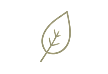 A simple line drawing of a leaf with visible veins.