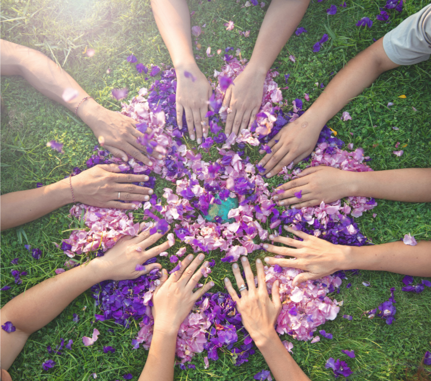 Six people's hands reaching toward a pile of purple and pink flower petals on grass.