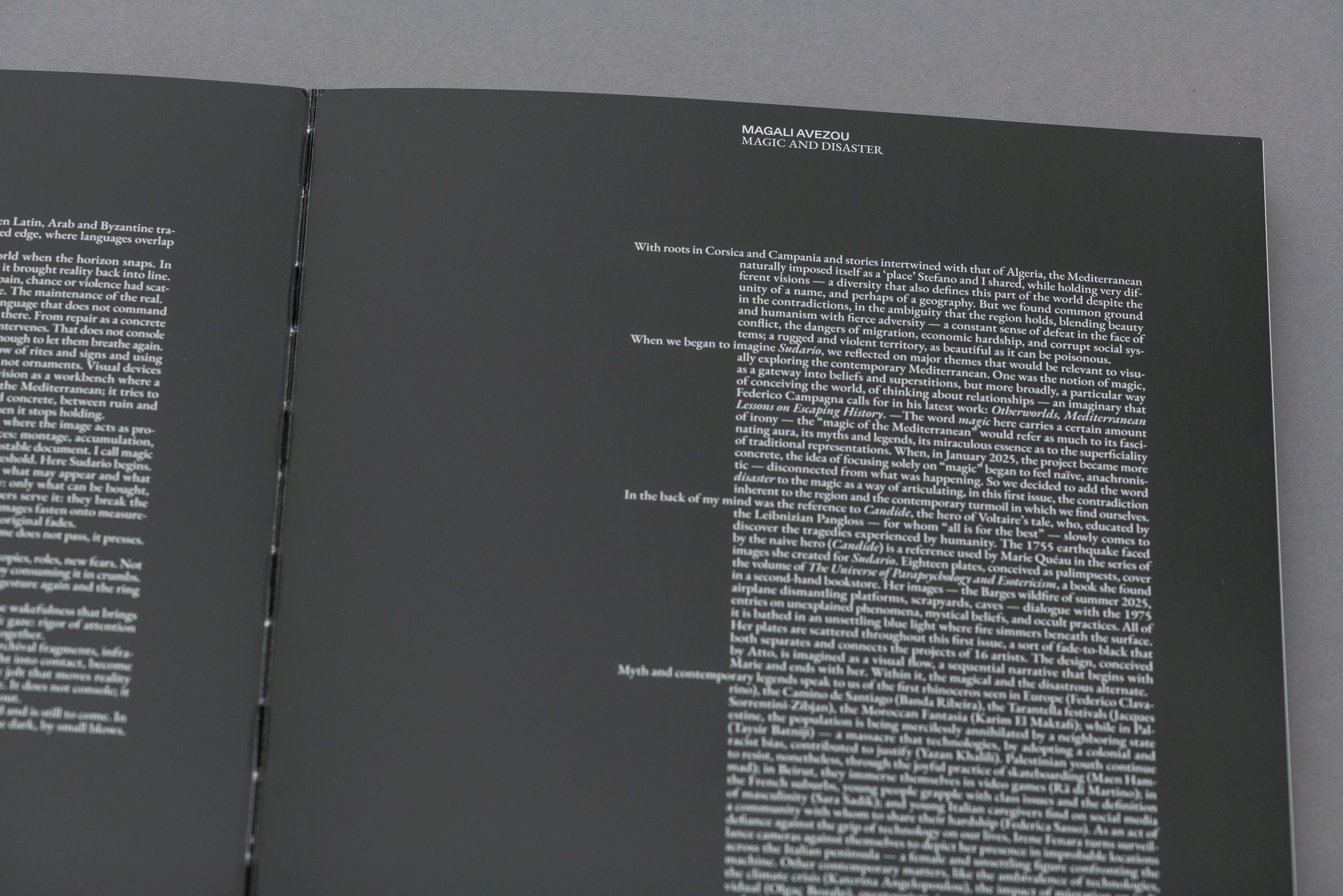 Sudario Ouroboros_01 (1).JPG