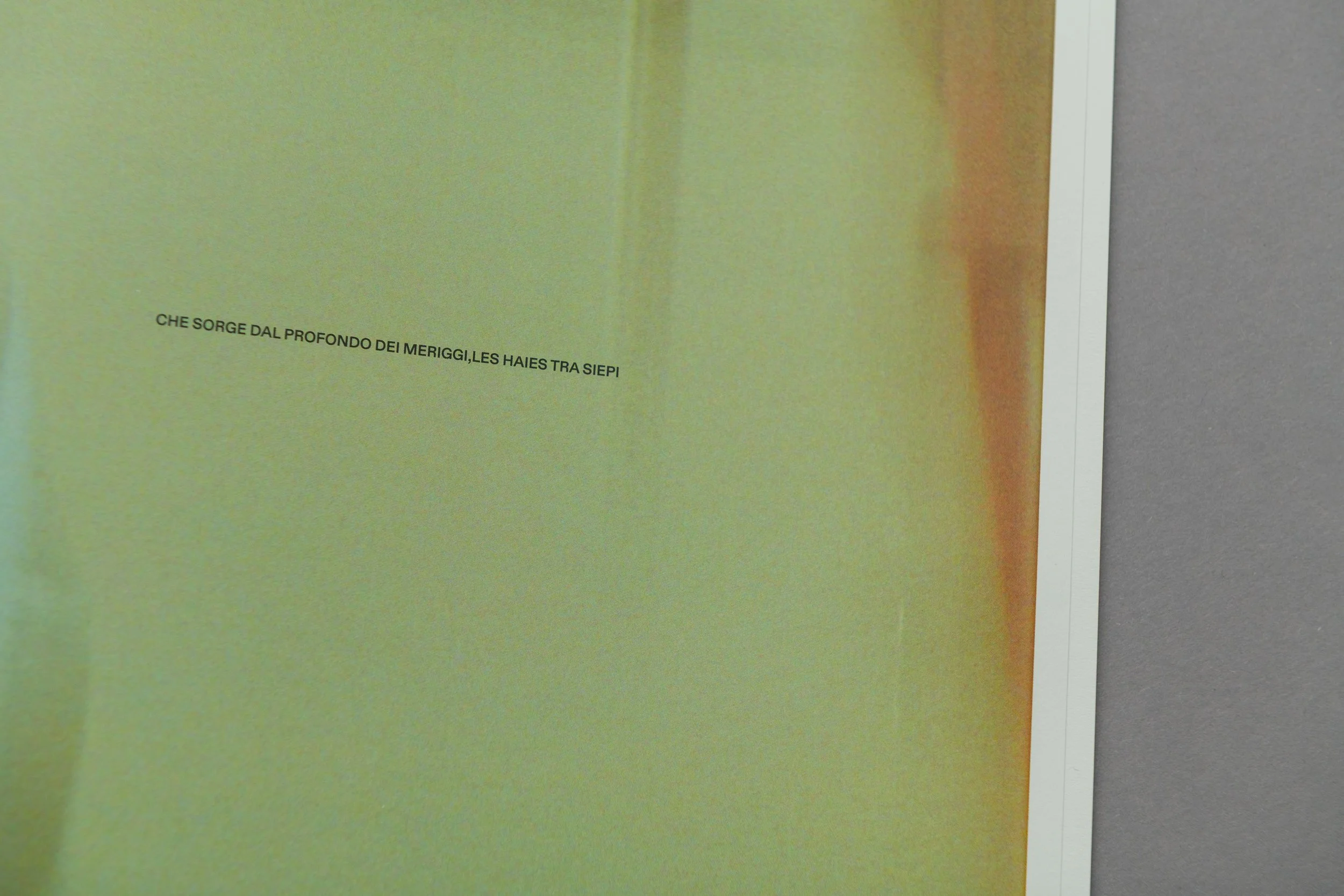 Sudario Ouroboros_01 (13).JPG