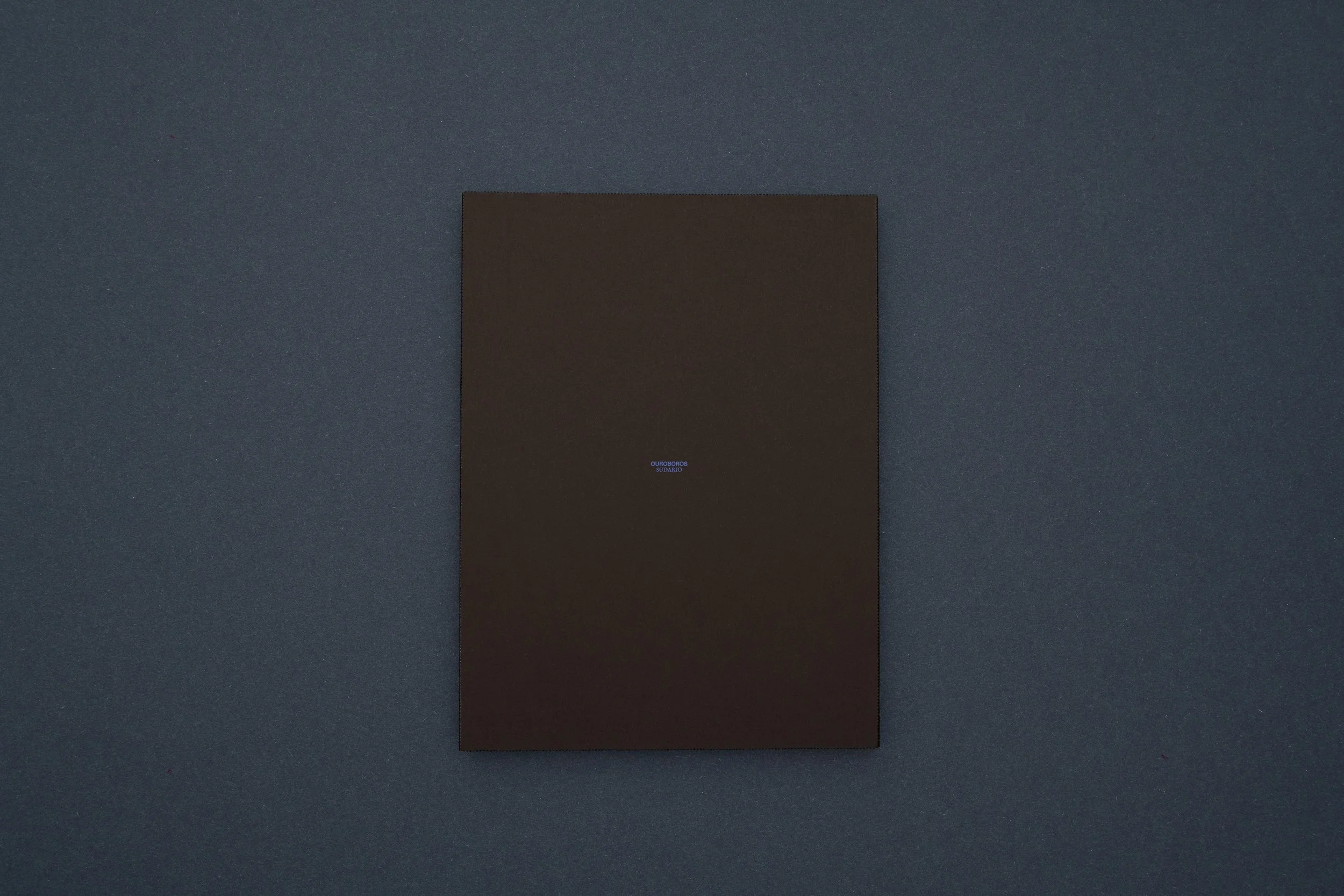 Sudario Limited Editions (13).JPG