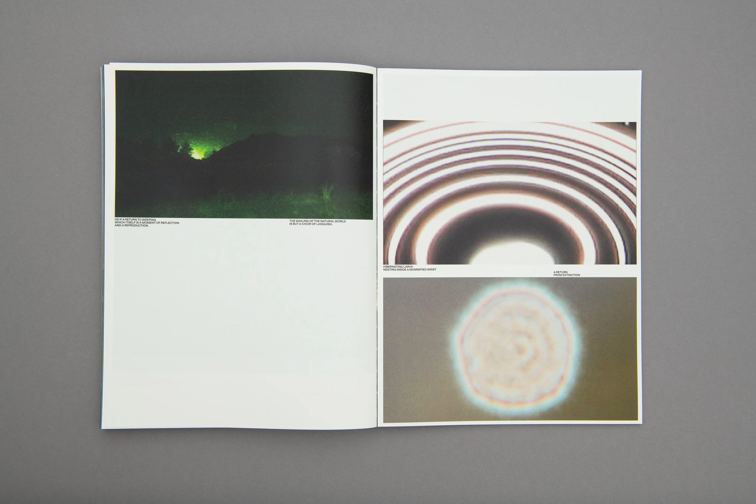 Sudario Ouroboros_01 (31).JPG