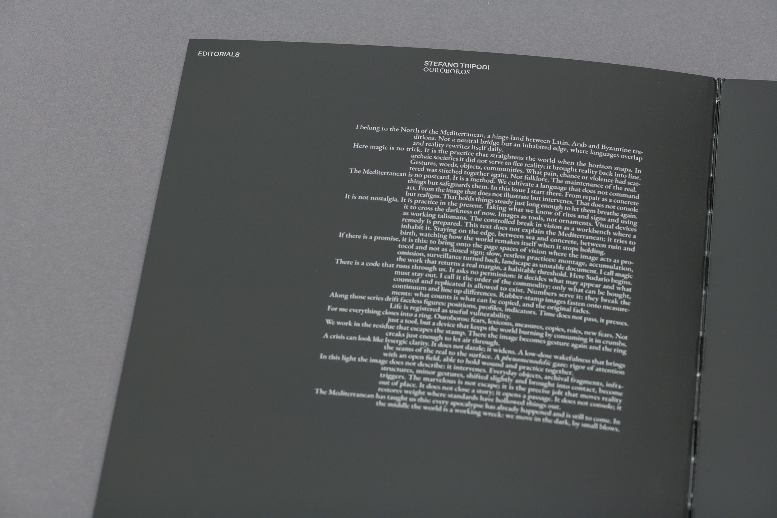 Sudario Ouroboros_01 (2).JPG