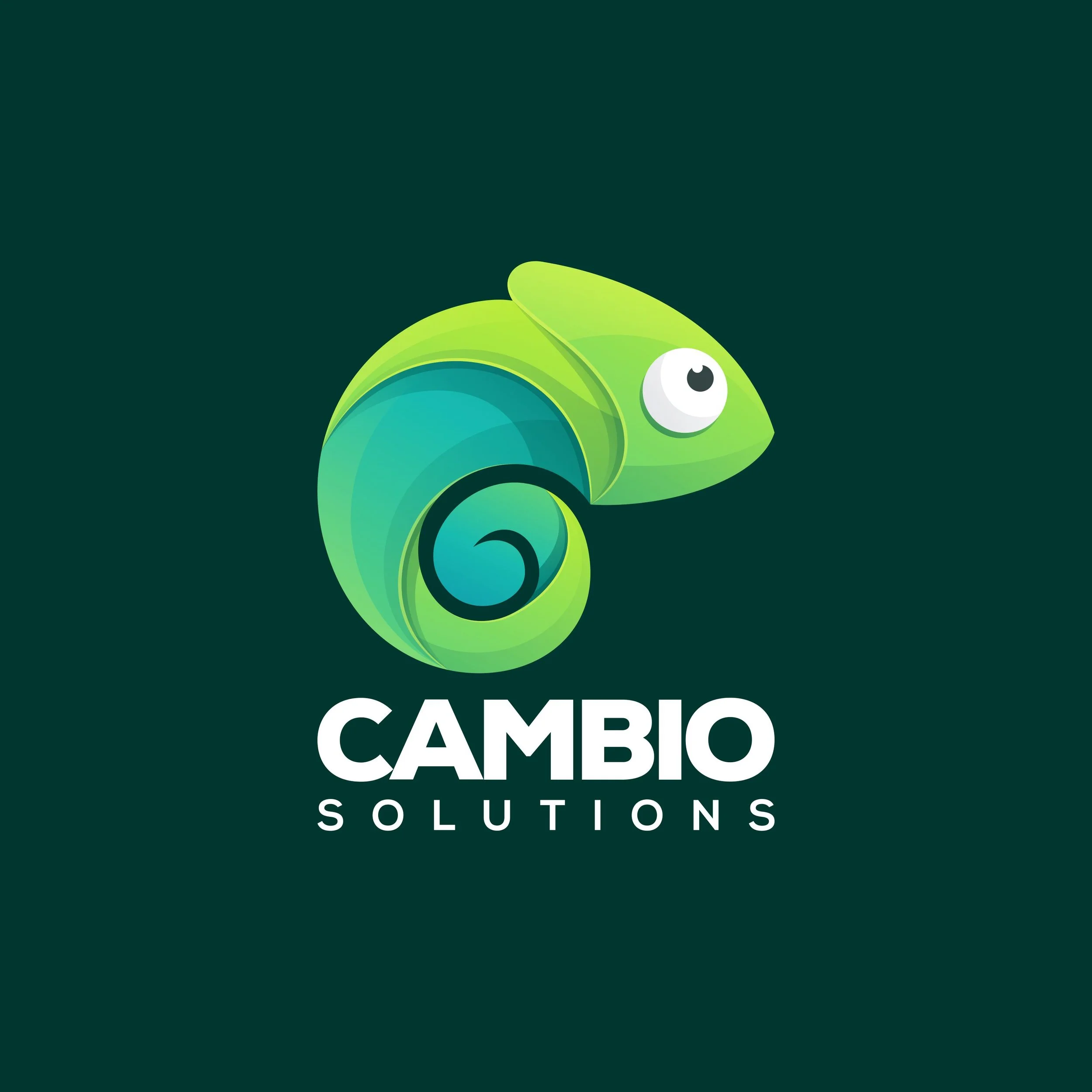 Cambio Solutions logo, a Hawaiʻi-based change management and organizational transformation consulting firm.