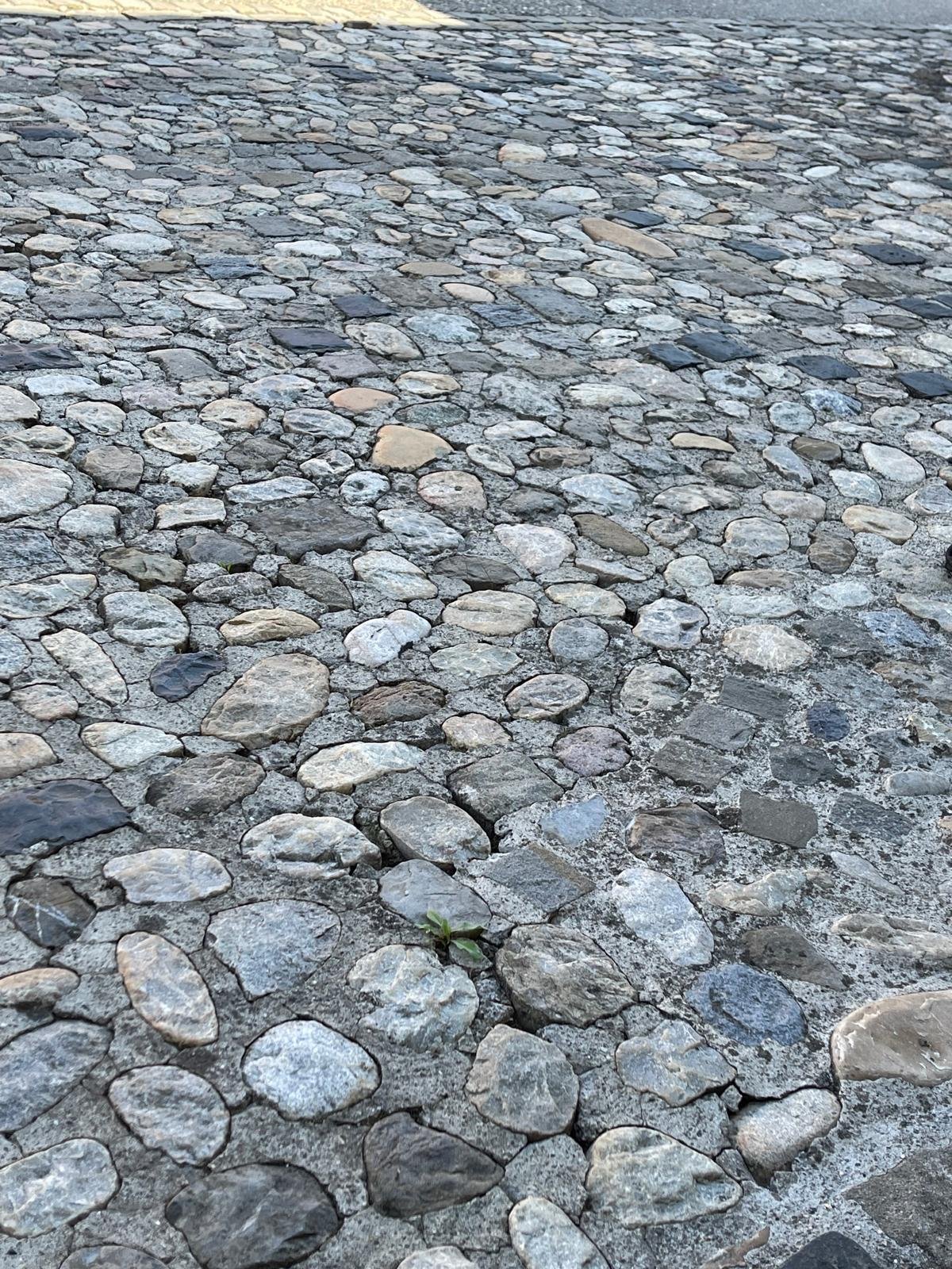 WhatsApp Image 2025-12-02 at 20.12.05.jpeg