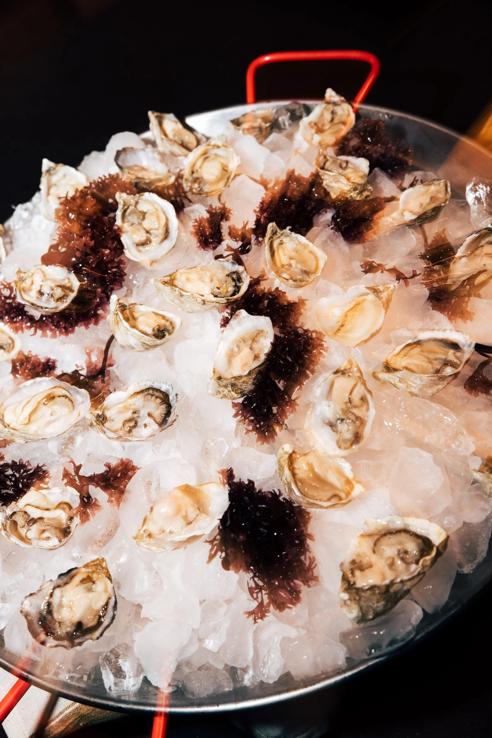 WSER_HOKA_HOUSE_DINNER_DACOSTA-159.JPG