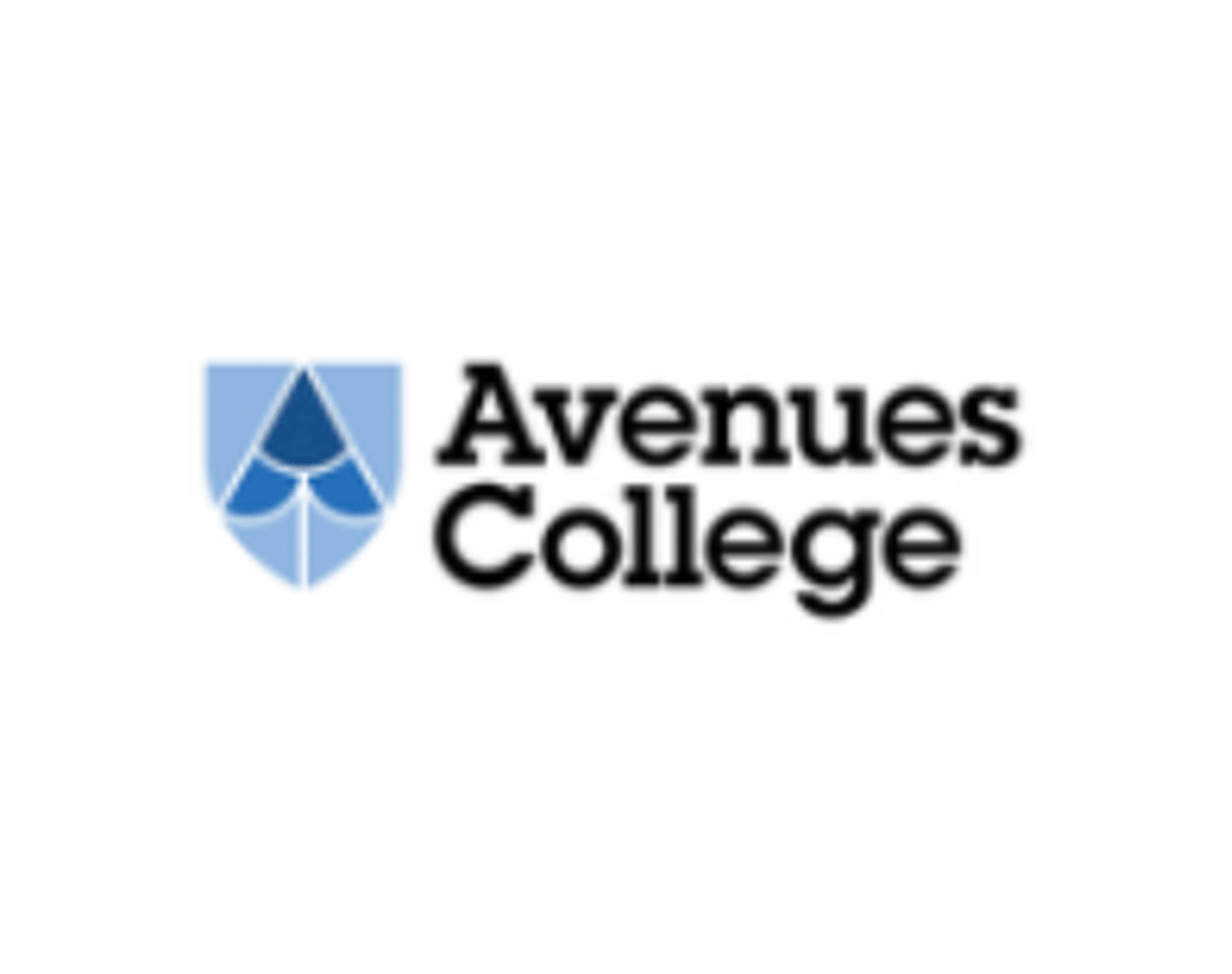 Avenues College