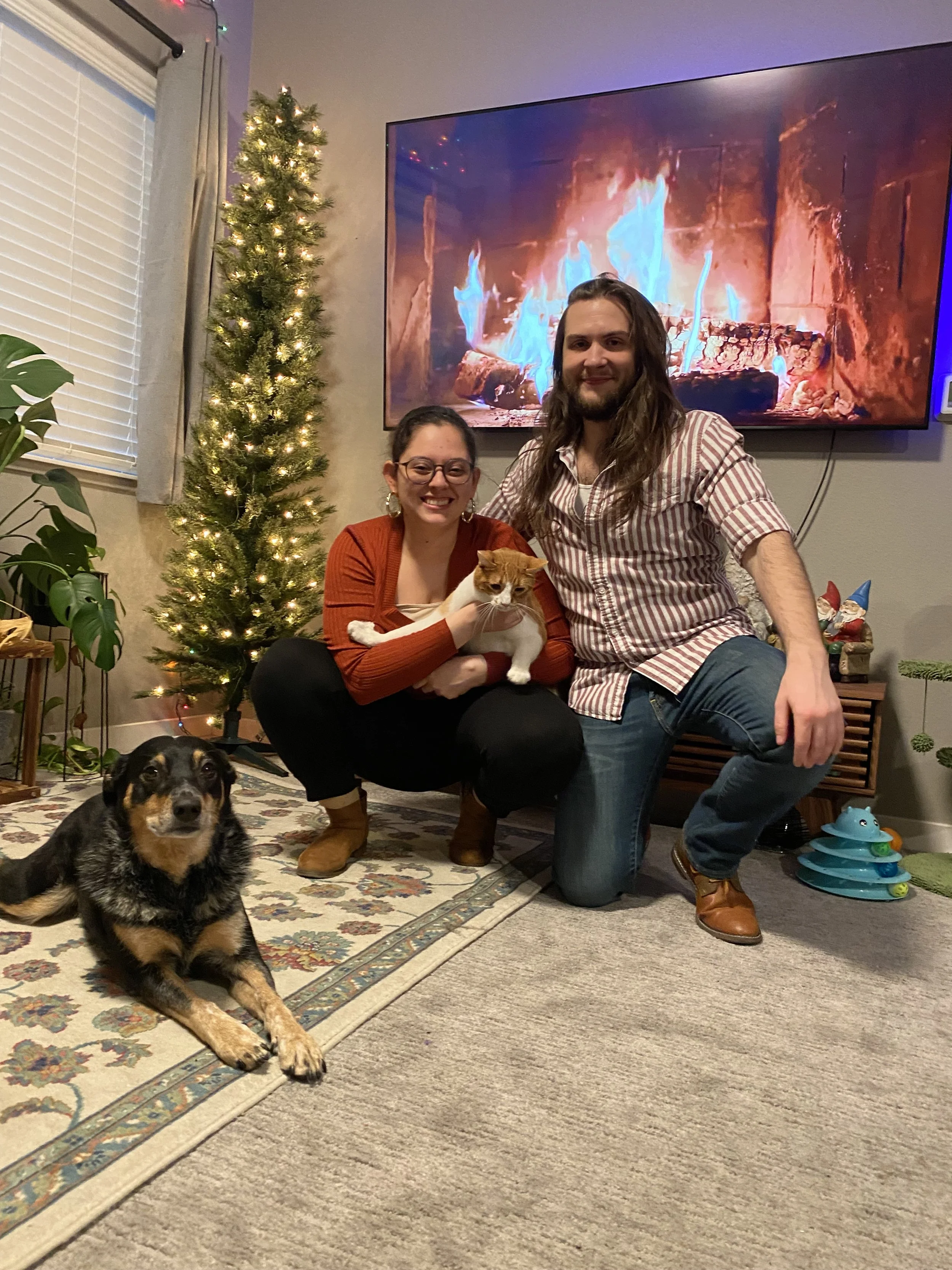 Two people, a woman and a man, dressed casually, are kneeling in a living room decorated for Christmas, with a decorated Christmas tree and a fireplace on the TV screen in the background. The woman is holding an orange and white cat, and there is a black and brown dog lying on the rug nearby.