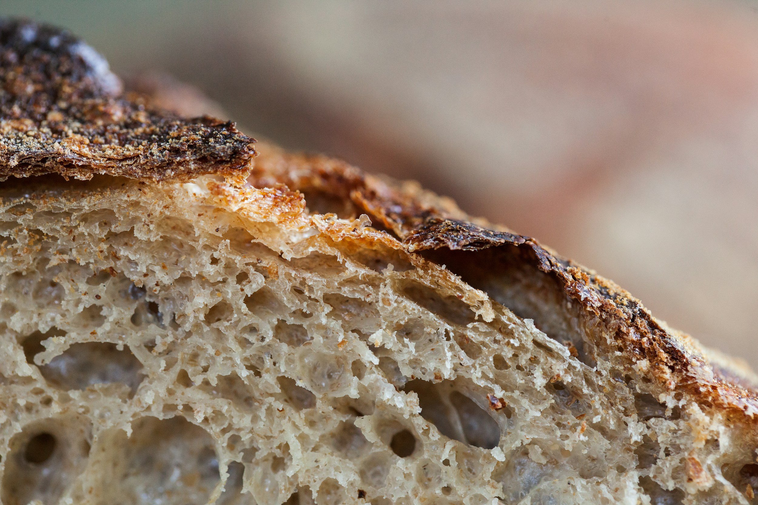 einkorn sourdough