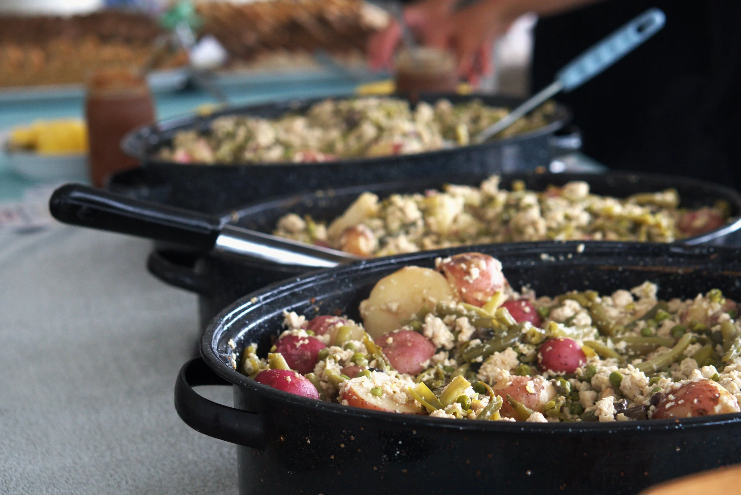 Ground Chicken and veggie casserole