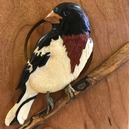 Rose Breasted Grossbeak lantern