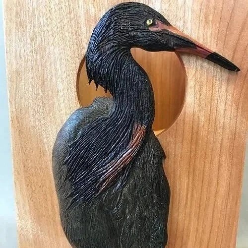 Reddish Egret lantern