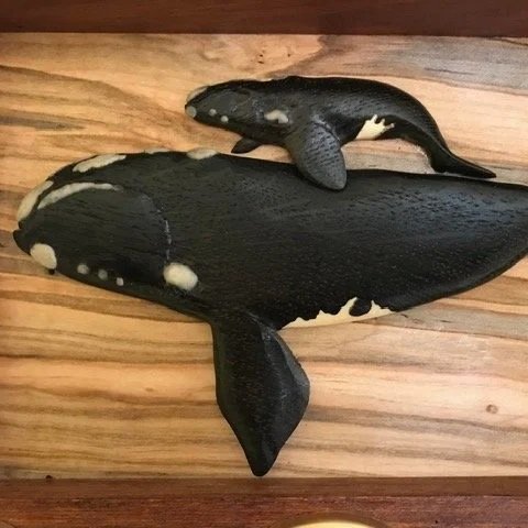 North Atlantic Right Whale mother and calf box lid