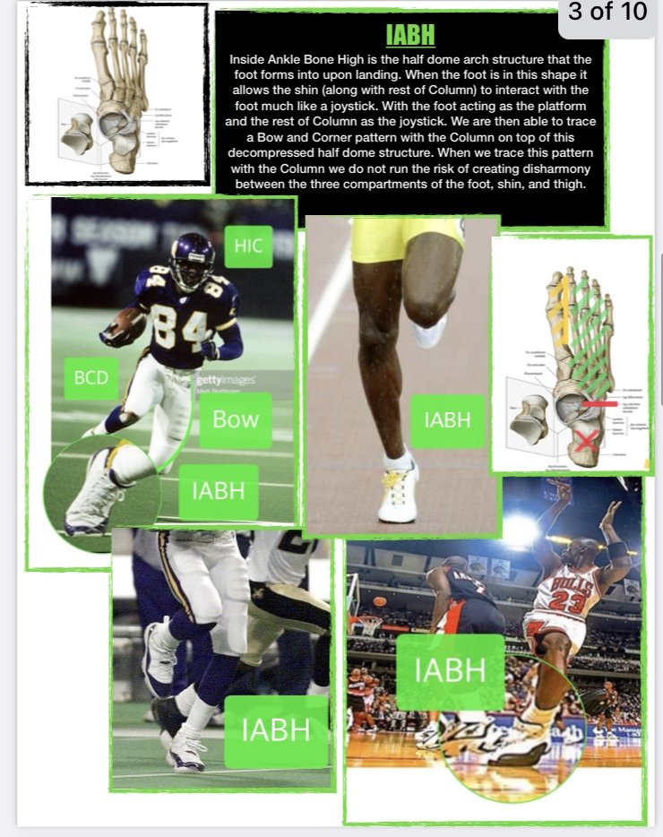 Educational collage illustrating the anatomy of the ankle, featuring images of basketball and football players, diagrams of ankle bones and ligaments, and labels such as IABH, HIC, BCD, and Bow.