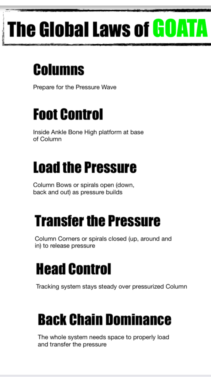 A document titled 'The Global Laws of GOATA', outlining steps such as Columns, Foot Control, Load the Pressure, Transfer the Pressure, Head Control, and Back Chain Dominance, with instructions related to pressure and system control techniques.