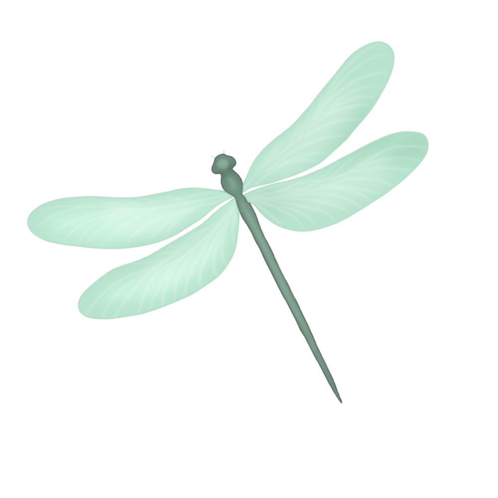 A digital illustration of a light green dragonfly with detailed wings.