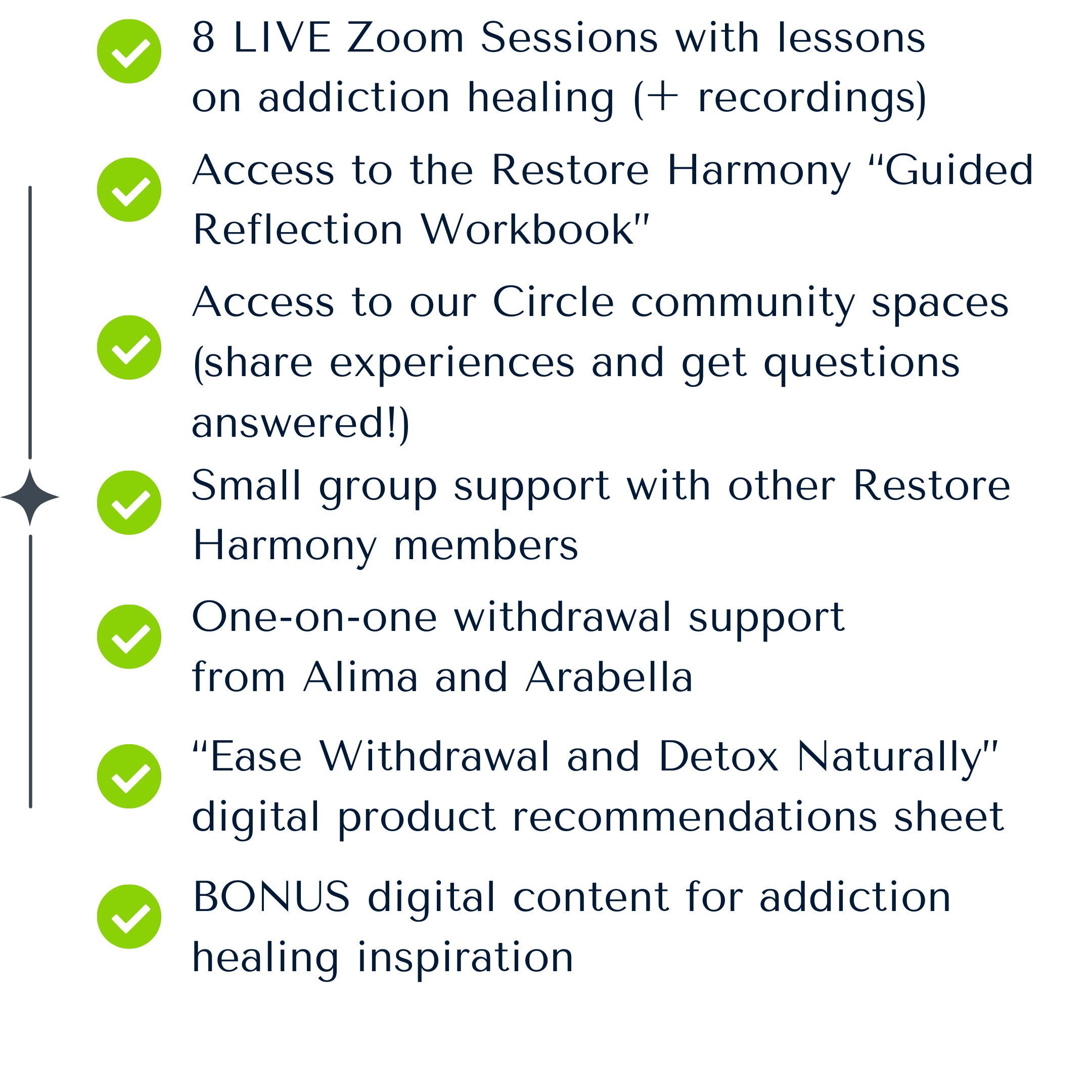 List of benefits for addiction healing program with green checkmarks next to each item, including live Zoom sessions, access to guided reflection workbook, community spaces, small group support, one-on-one support, digital product recommendations, and bonus content.