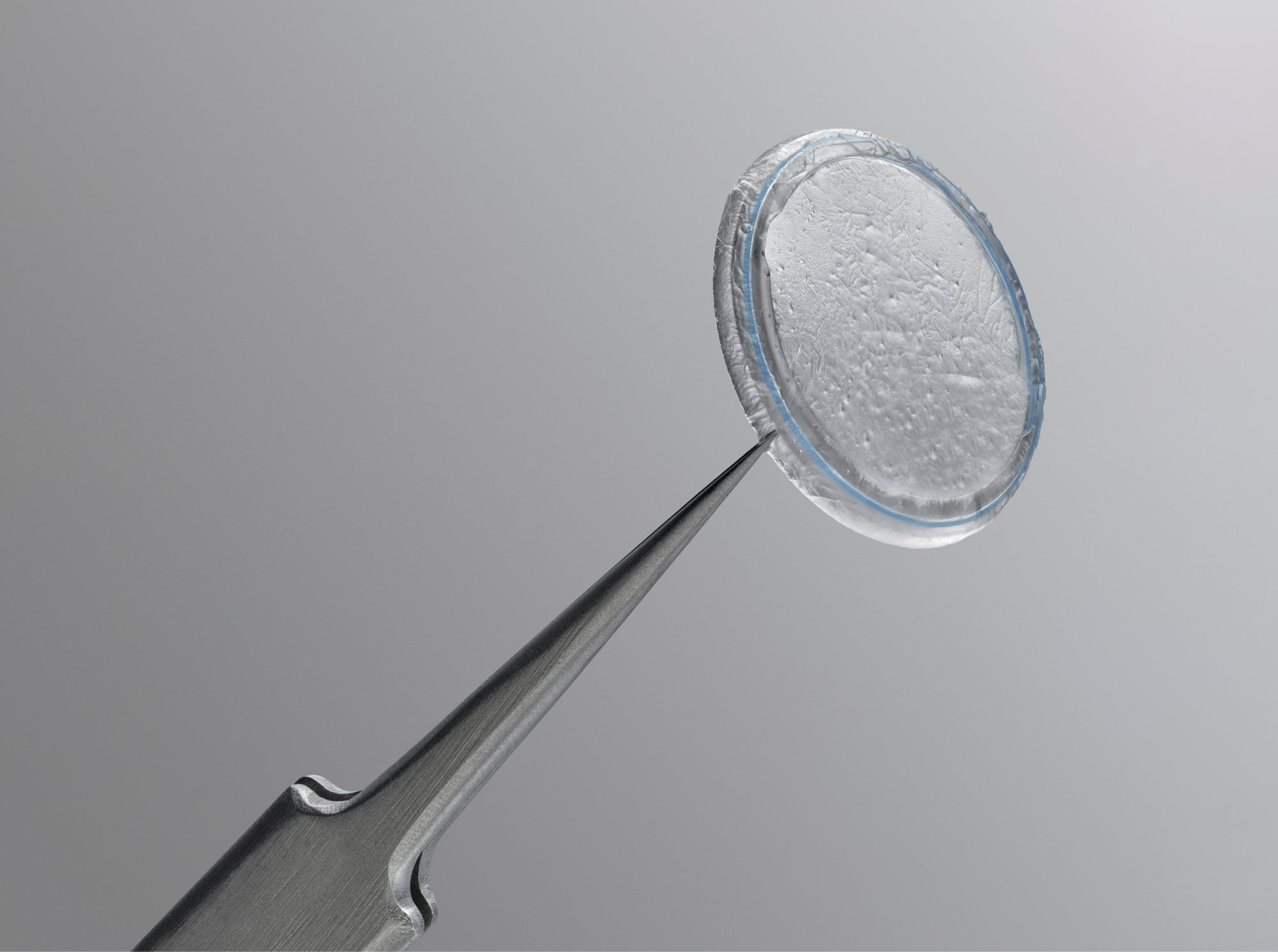 Prokera Amniotic Membrane