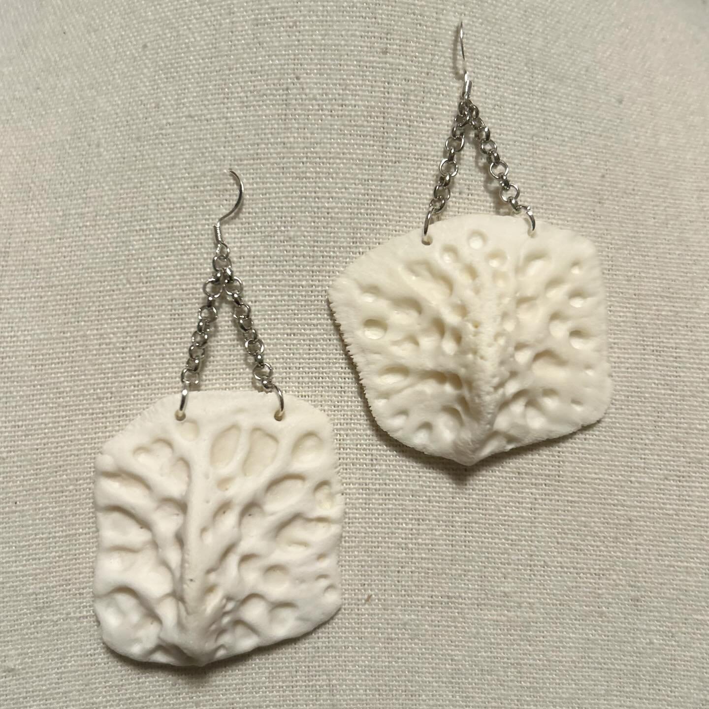 Huge alligator scutes with silver chain.