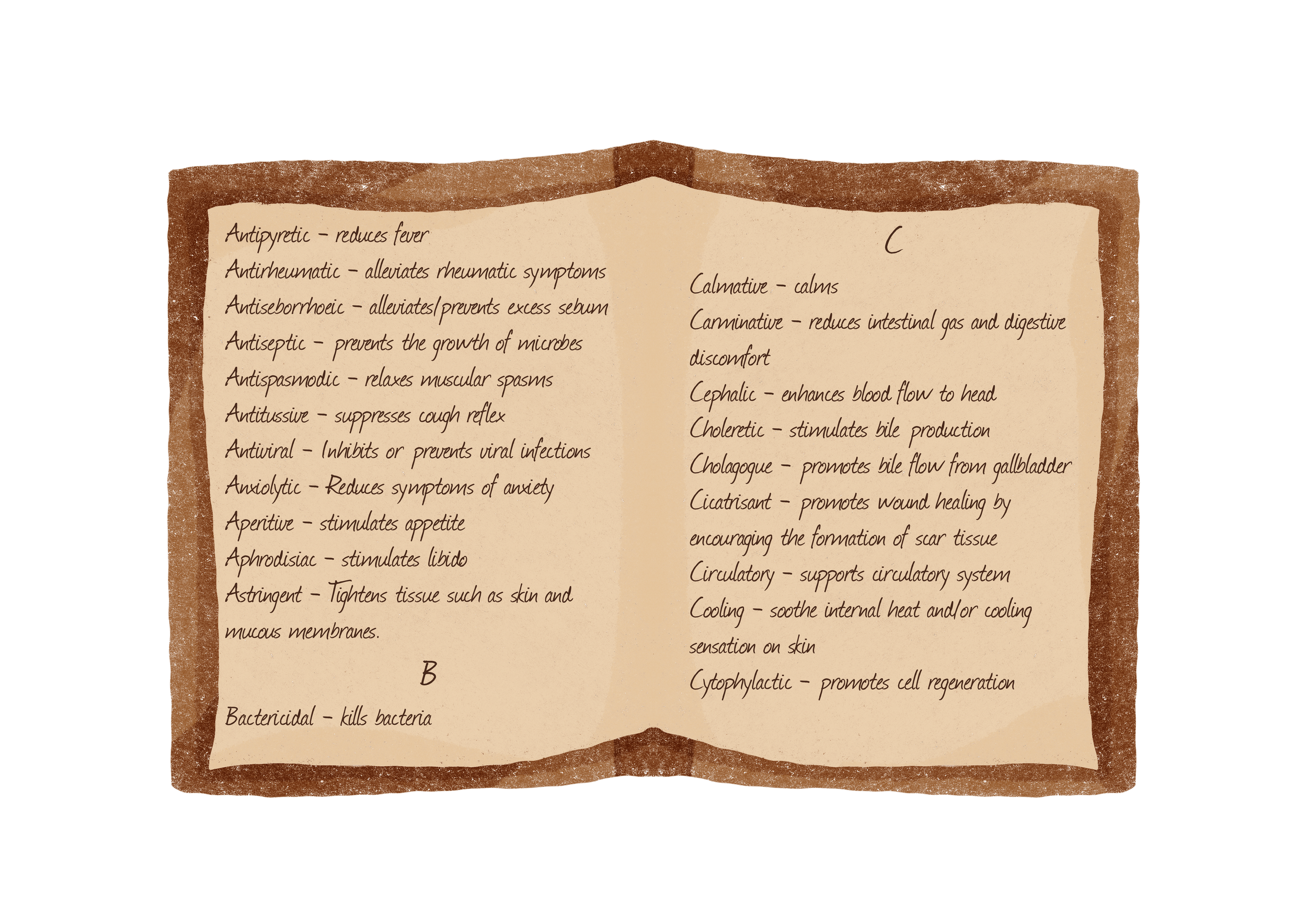 A page from a medicinal reference book with handwritten notes about various medicinal properties and effects of substances, including antipyretic, antiseptic, antibacterial, and other terms.