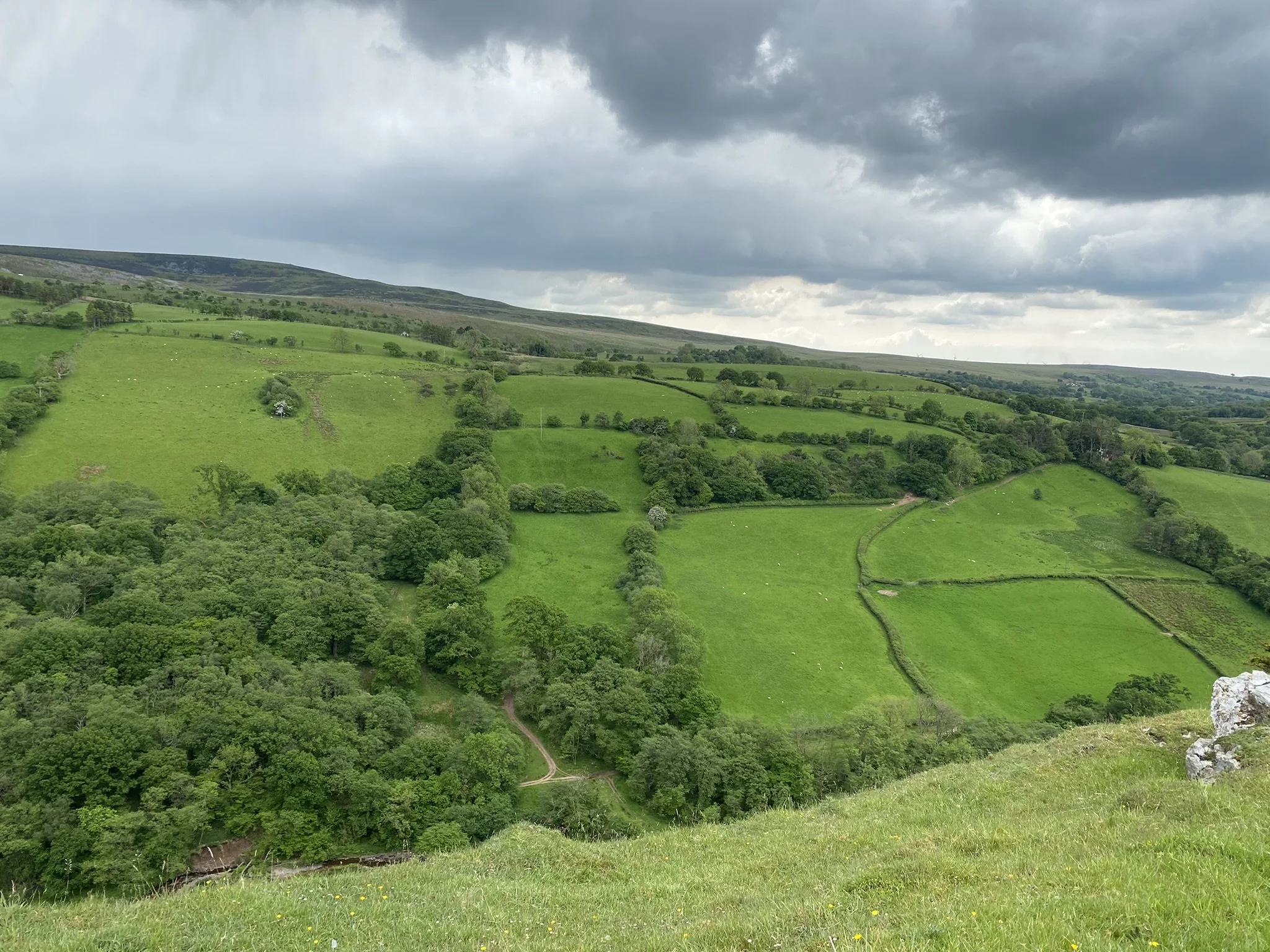 Lush green rolling hills with scattered trees and bushes, under a cloudy sky, in a rural landscape.