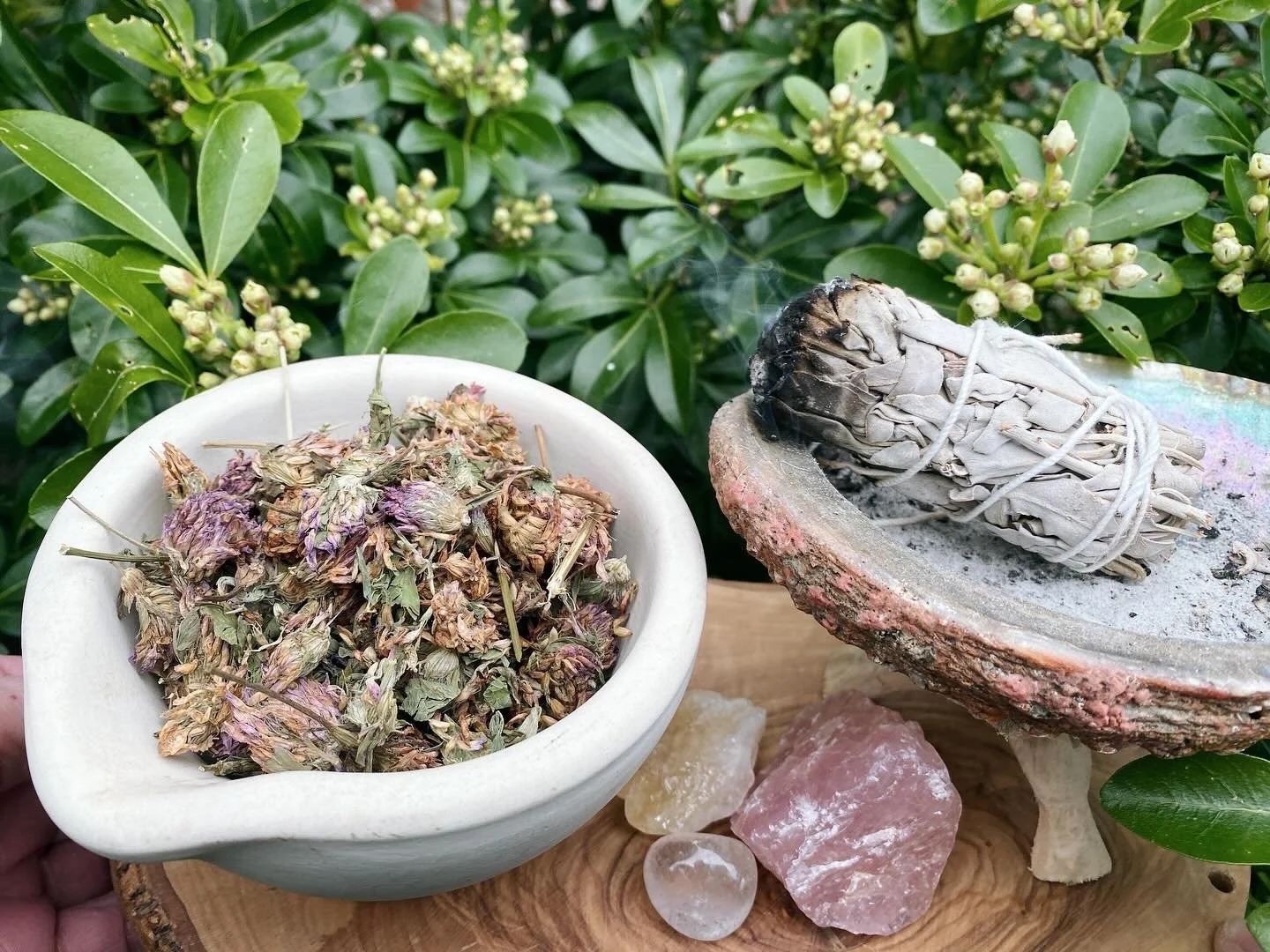 White bowl filled with dried lavender flowers, a small burning sage bundle on a stone surface, and pink and clear crystals, all arranged on a wooden surface with green leafy plants in the background.