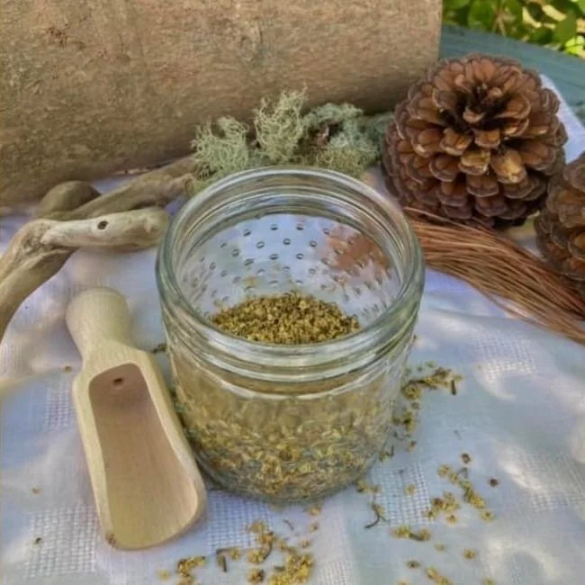 Elderflowers (Sambucus nigra)