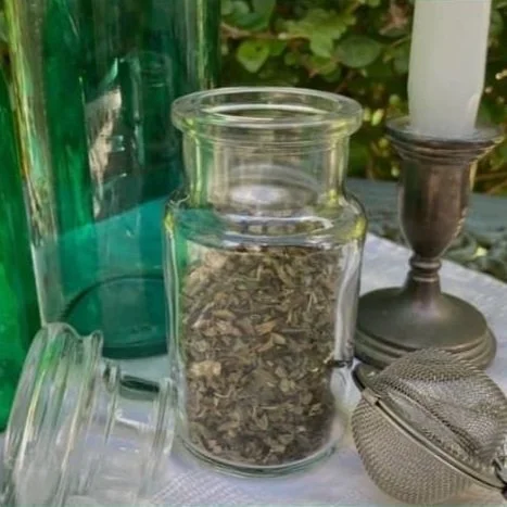 Lemon Balm (Melissa officinalis)