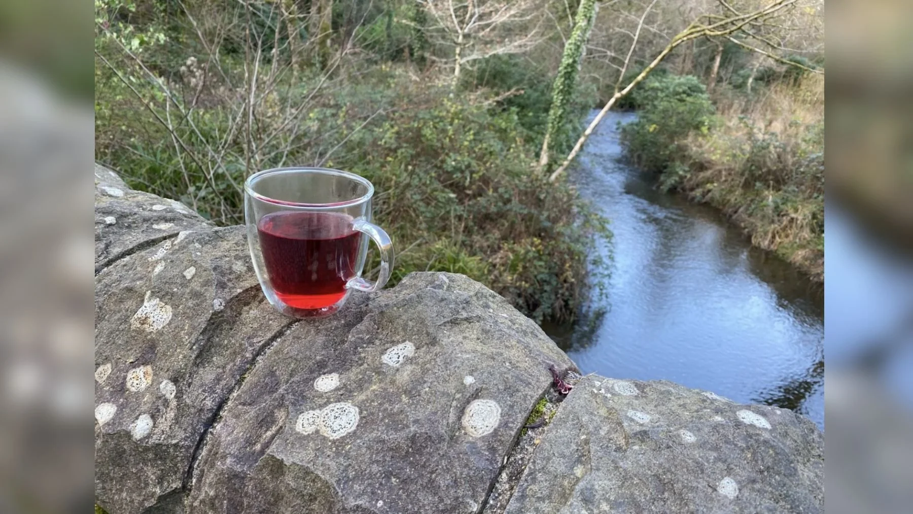 Glass mug filled with red liquid on a large rock by a river with trees and bushes in the background.
