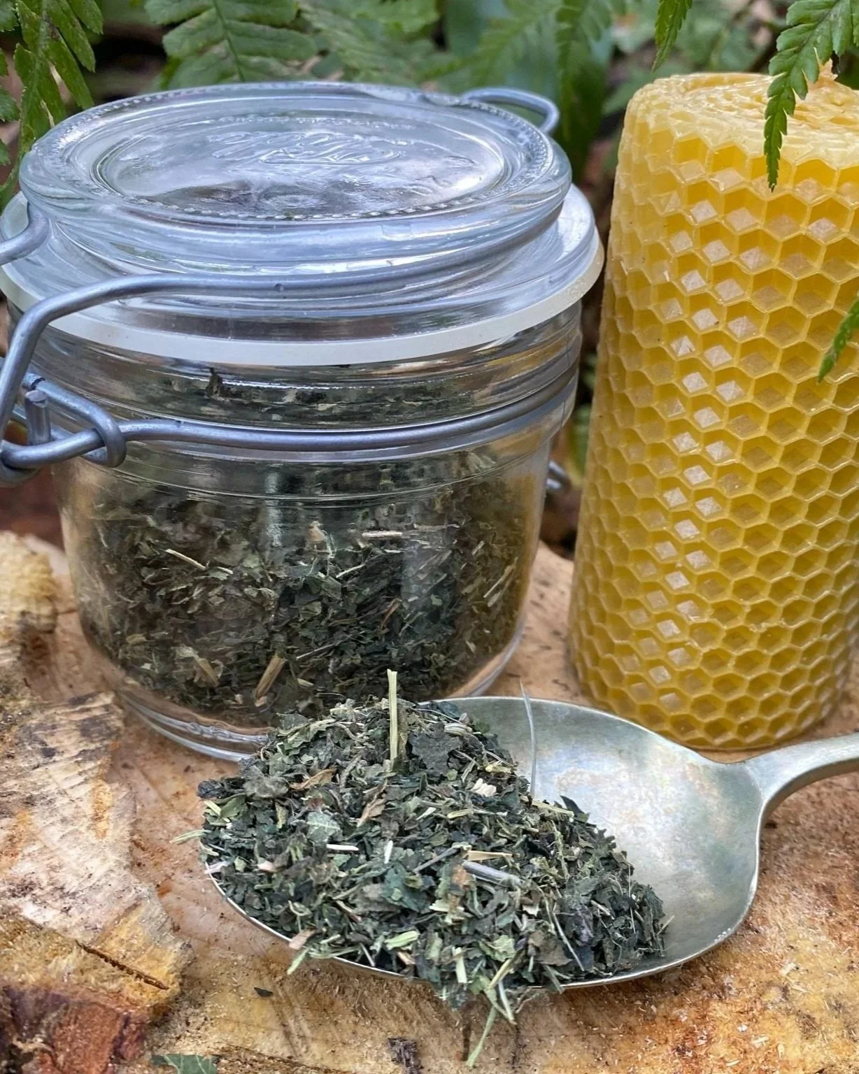 IMG_1037%2B-%2BNettle.jpg