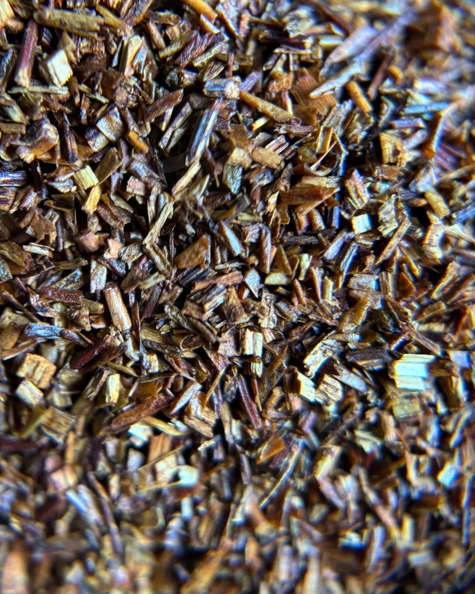 IMG_0398+-+Rooibos+1.jpg