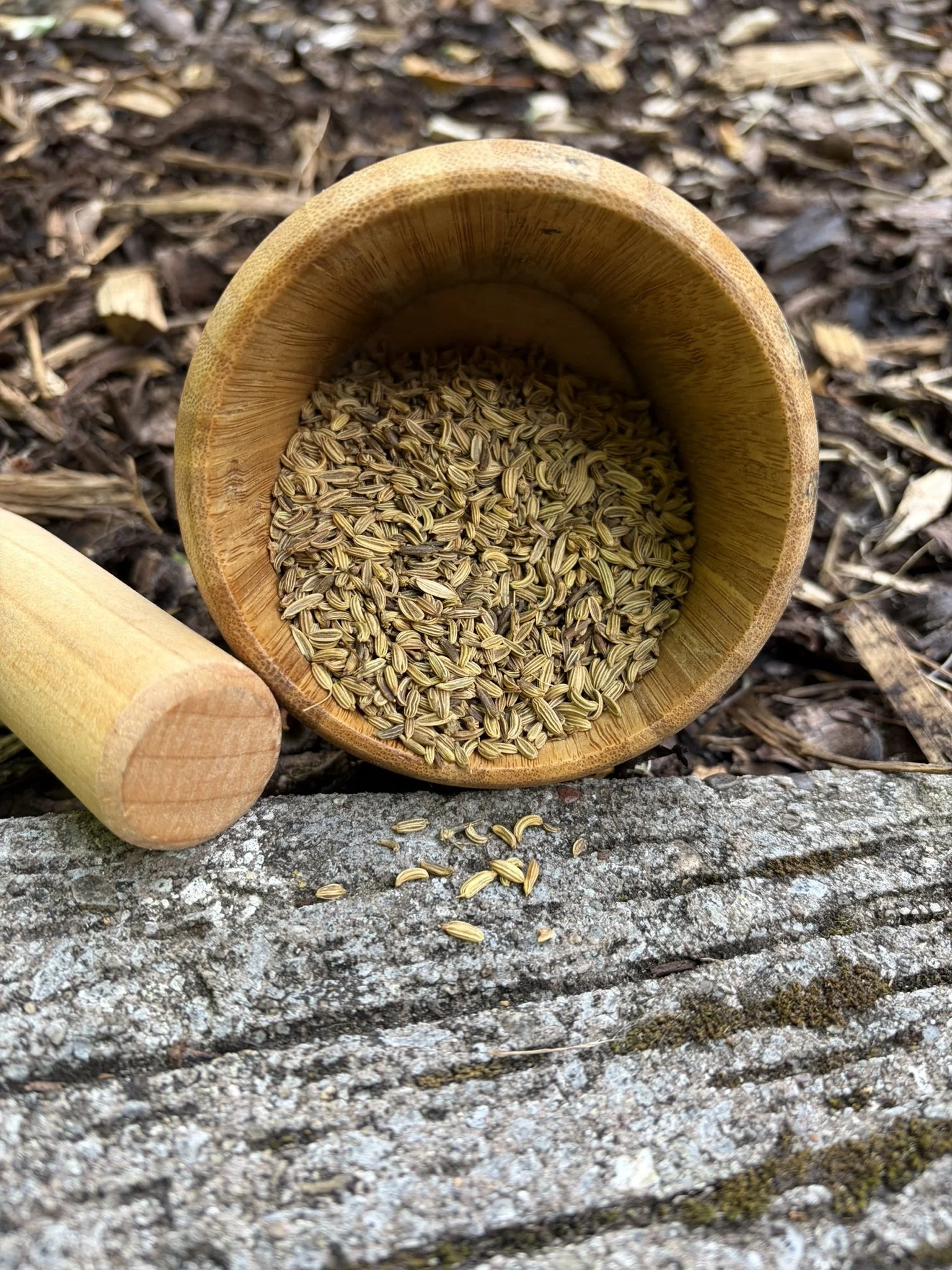 Fennel Seeds